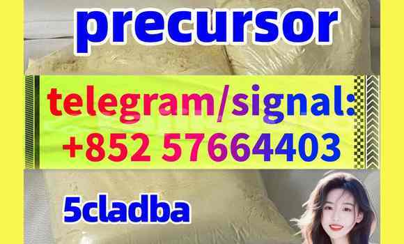 Medium with watermark 59