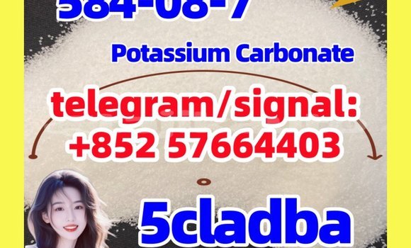 Medium with watermark 519