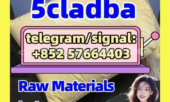 Medium with watermark 53