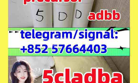 Medium with watermark 58