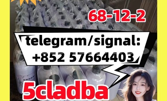Medium with watermark 513