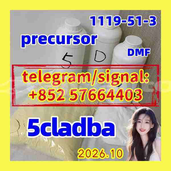 Big with watermark 52