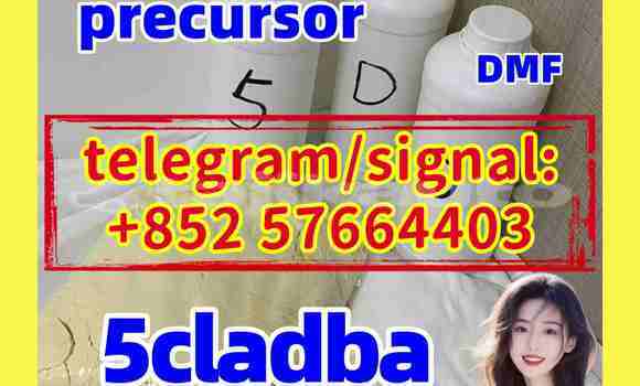 Medium with watermark 52