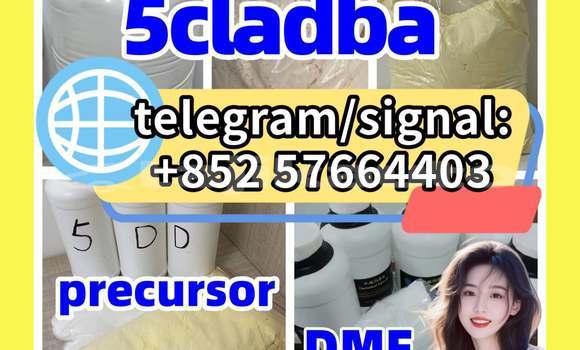Medium with watermark 57