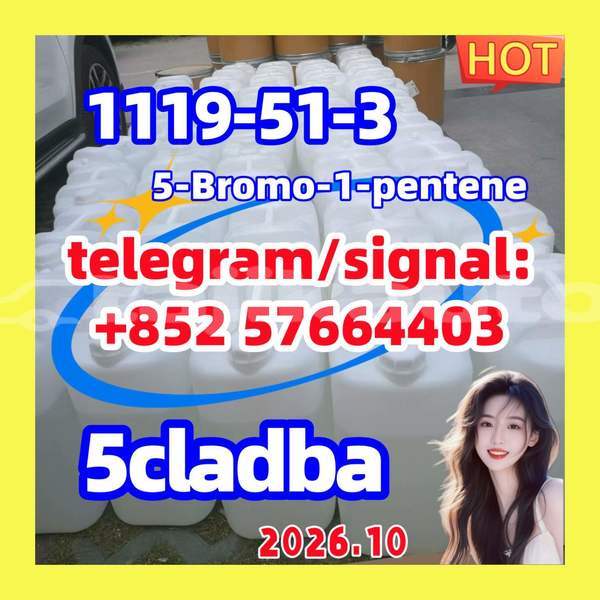 Big with watermark 512