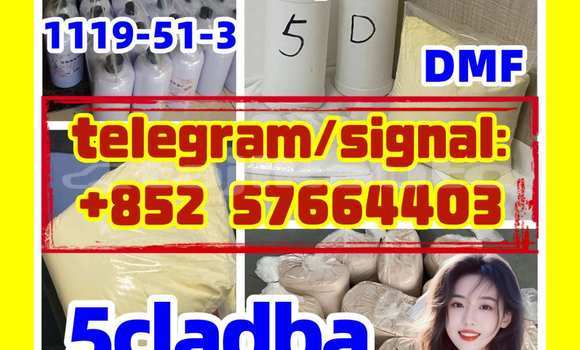 Medium with watermark 51