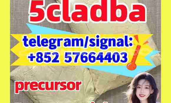 Medium with watermark 56