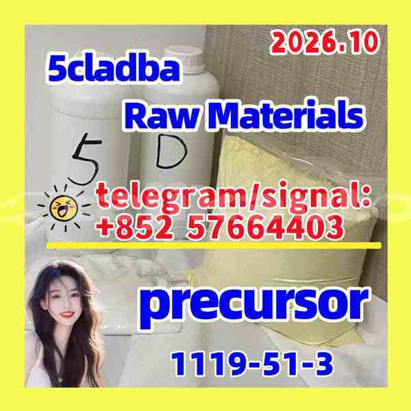 Big with watermark 511