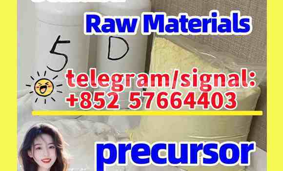 Medium with watermark 511