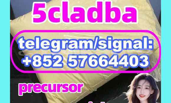 Medium with watermark 51