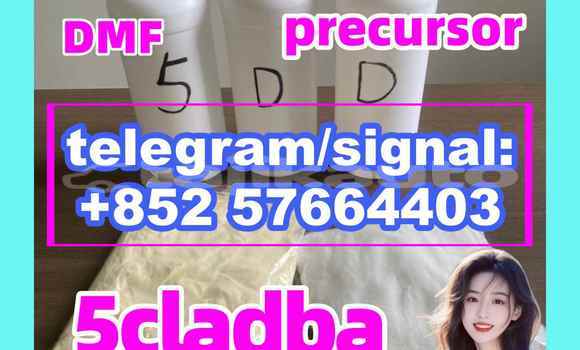 Medium with watermark 52