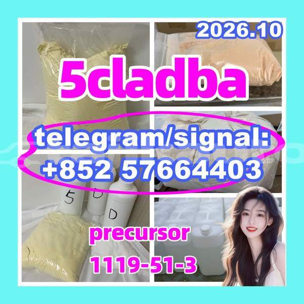 Big with watermark 53