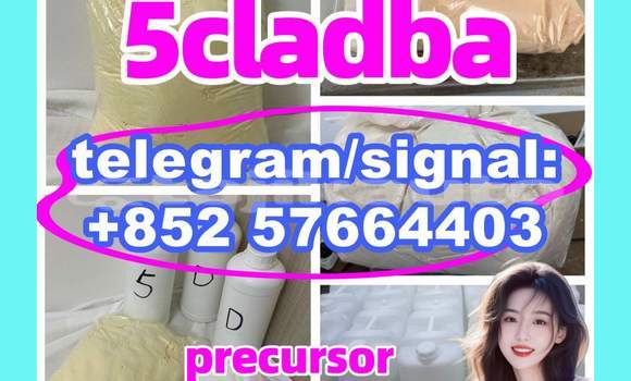 Medium with watermark 53