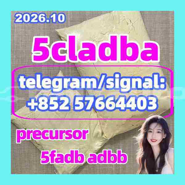 Big with watermark 54