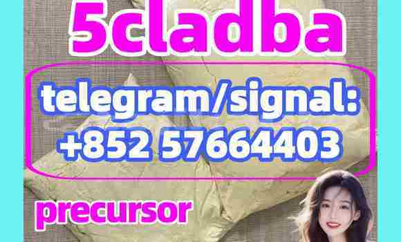 Medium with watermark 54