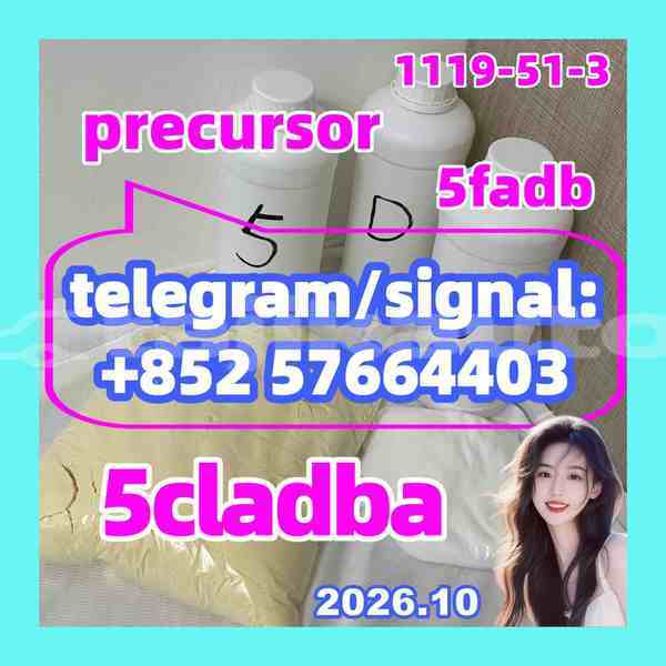 Big with watermark 55