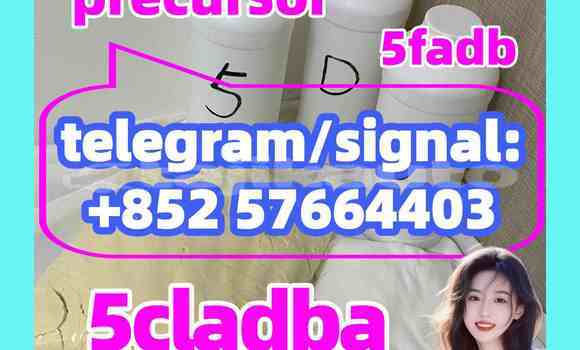 Medium with watermark 55