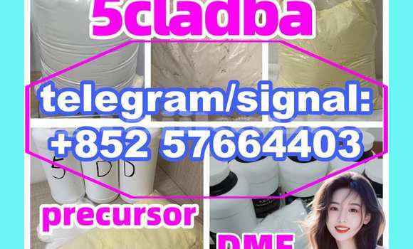 Medium with watermark 56