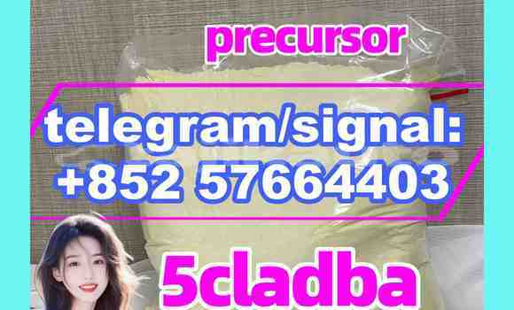 Medium with watermark 57