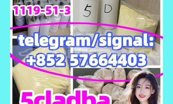 Medium with watermark 59