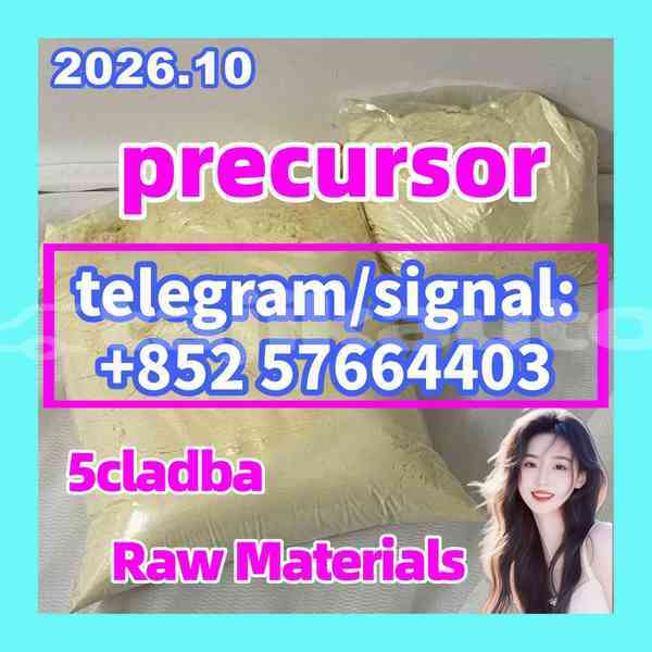 Big with watermark 510