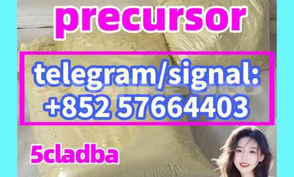 Medium with watermark 510