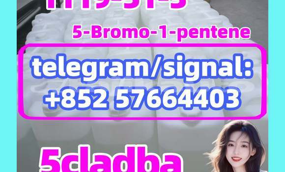 Medium with watermark 511