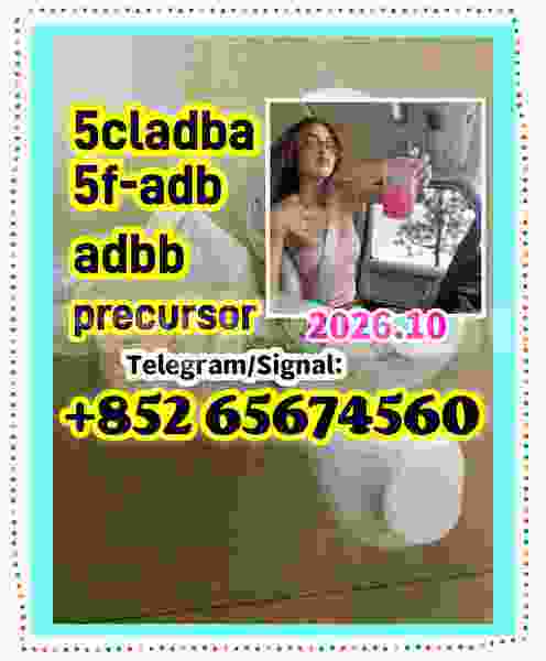 Big with watermark wefgergethgt
