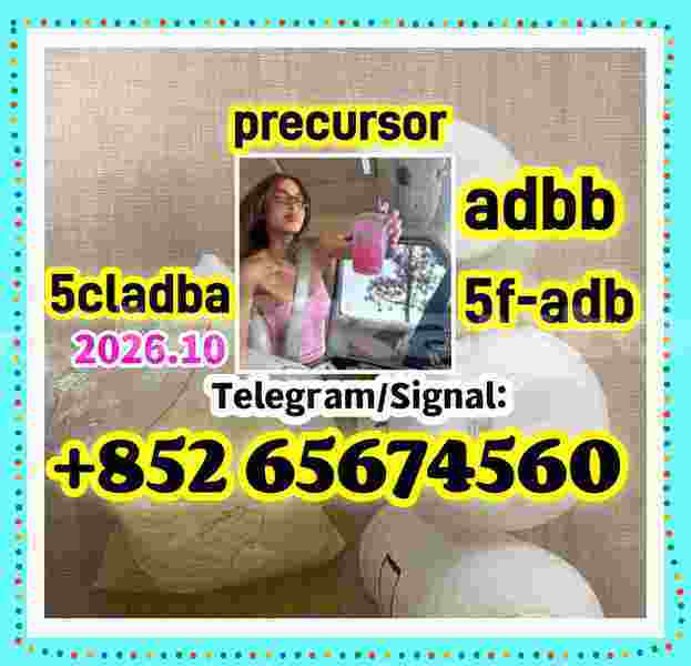 Big with watermark regghrthrthty