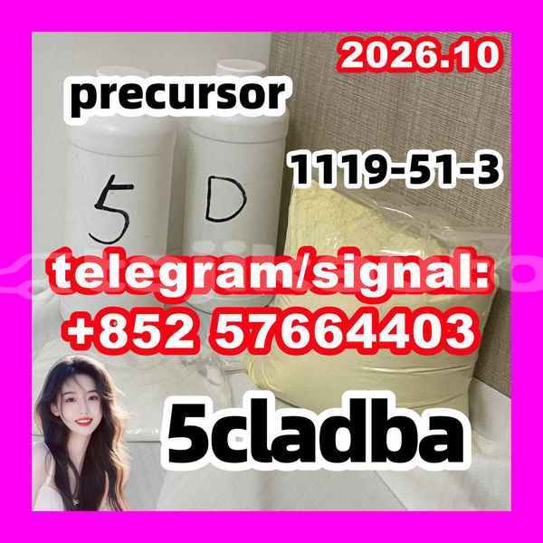 Big with watermark 55