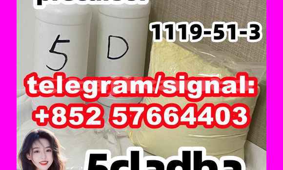 Medium with watermark 55