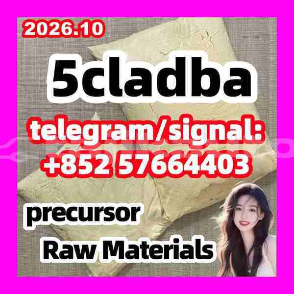 Big with watermark 510