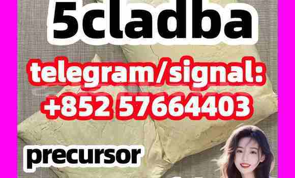Medium with watermark 510