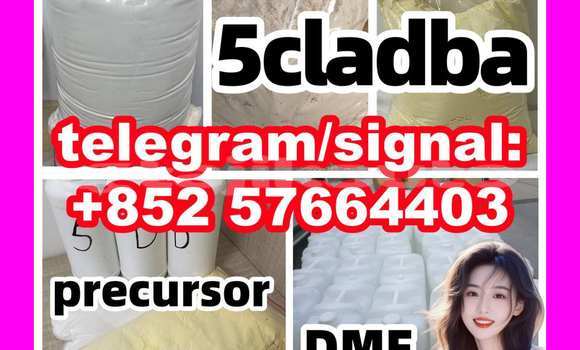 Medium with watermark 516