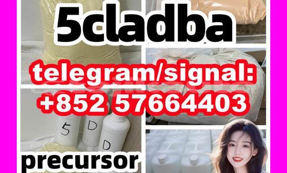 Medium with watermark 59