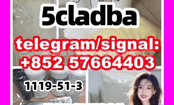 Medium with watermark 53
