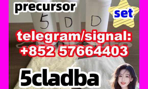 Medium with watermark 58