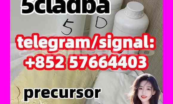 Medium with watermark 52