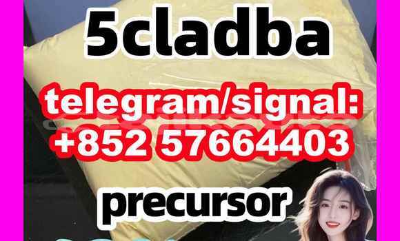 Medium with watermark 57