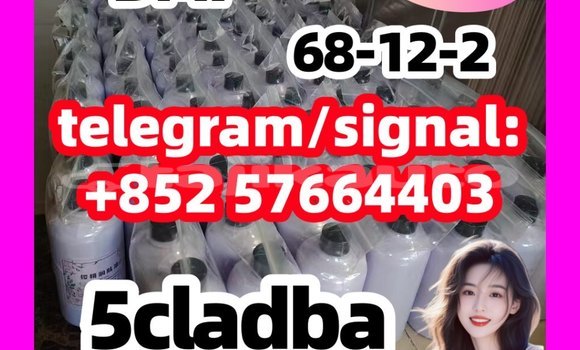 Medium with watermark 513