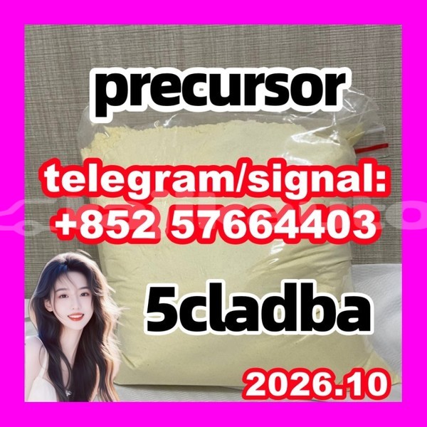 Big with watermark 51