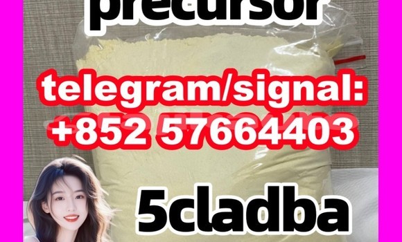 Medium with watermark 51