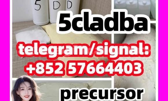 Medium with watermark 56