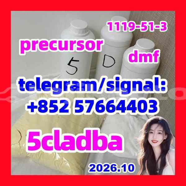 Big with watermark 55