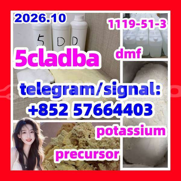 Big with watermark 511