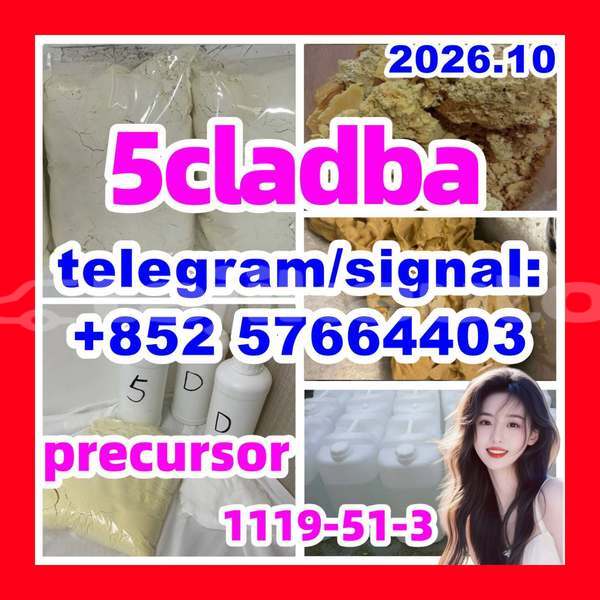 Big with watermark 513