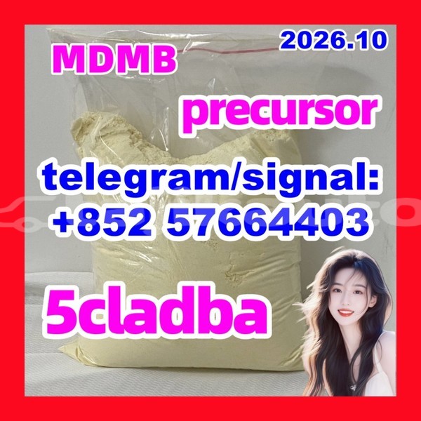 Big with watermark 510