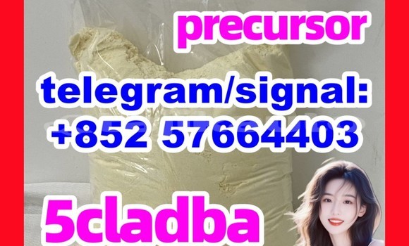 5cl-adba Powder Supplier 