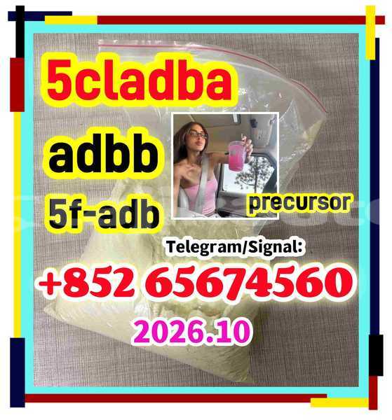Big with watermark ewtfwertgfergrtg %e5%89%af%e6%9c%ac