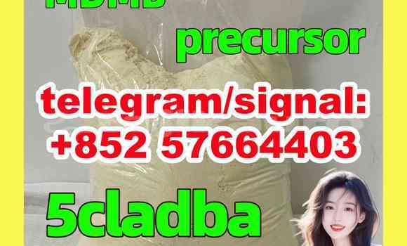 Medium with watermark 51